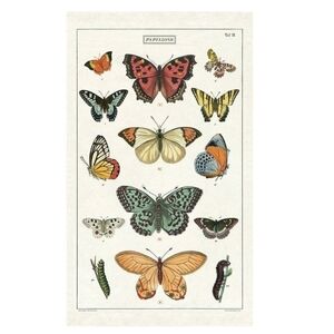 ❤️BUY 2 GET 1 FREE  Cavallini & Co. Vintage Butterfly Butterflies Tea Towel